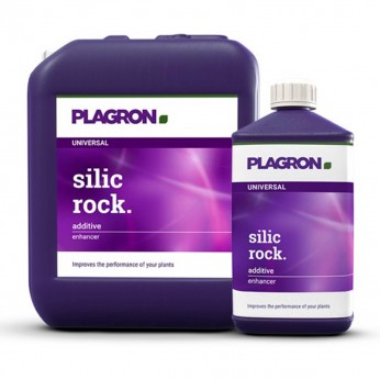 Silic Rock de Plagron, diferentes formatos.