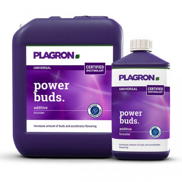 Power Buds de Plagron, diferentes formatos.