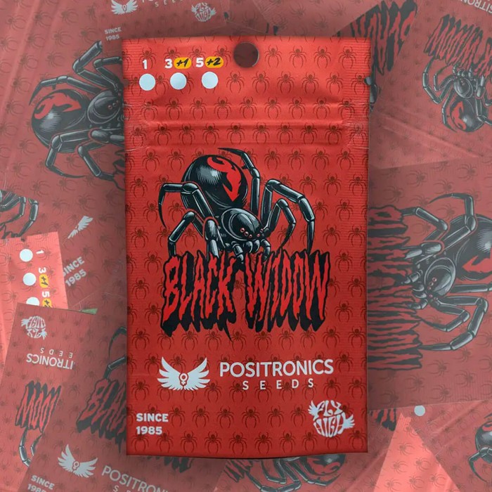 Semillas feminizadas Black Widow de Positronics, blister.