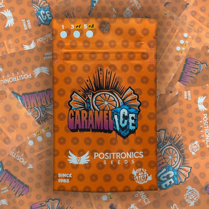 Semilla Feminizada Caramelice de Positronic Seeds, blister.