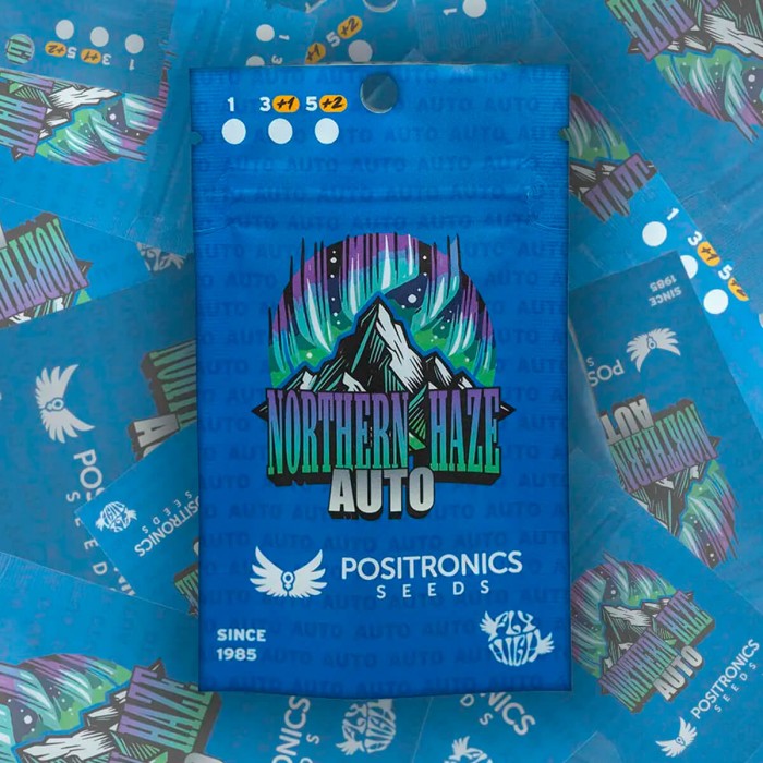 Auto Northern Haze de Positronic, blister.