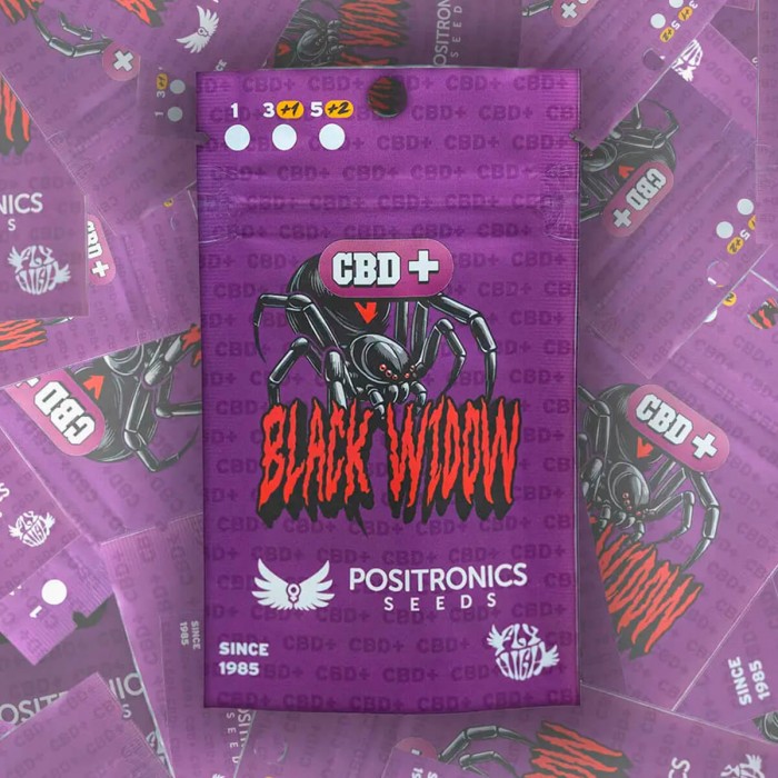 Semillas Black Widow CBD+ de Positronic Seeds. Blister.