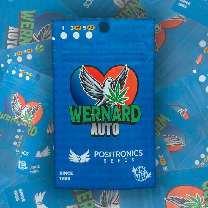 Semillas Auto Wernard de Positronics, blister.