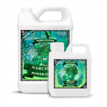 Narcissus Power Finish de Terra Power, diferentes formatos.