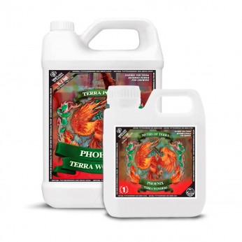 Phoenix Terra Wonders de Terra Power, diferentes formatos.