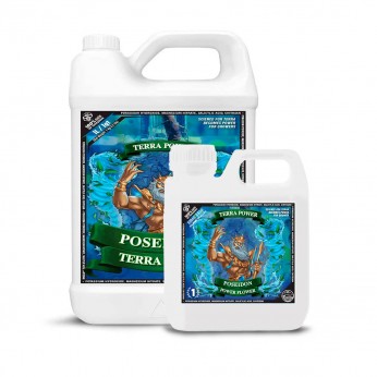 Poseidon Power Flower de Terra Power, diferentes formatos.