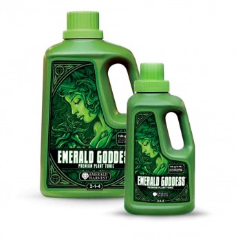 Emerald Goddess de Emerald Harvest, diferentes formatos.