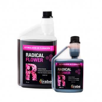 Radical Flower de Trabe, diferentes formatos.