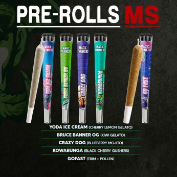 Pre Rolls MS.
