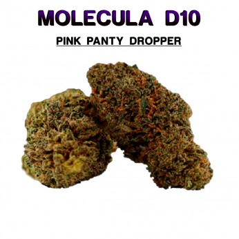 Flores 50% D10 Pink Panty Dropper 5g.