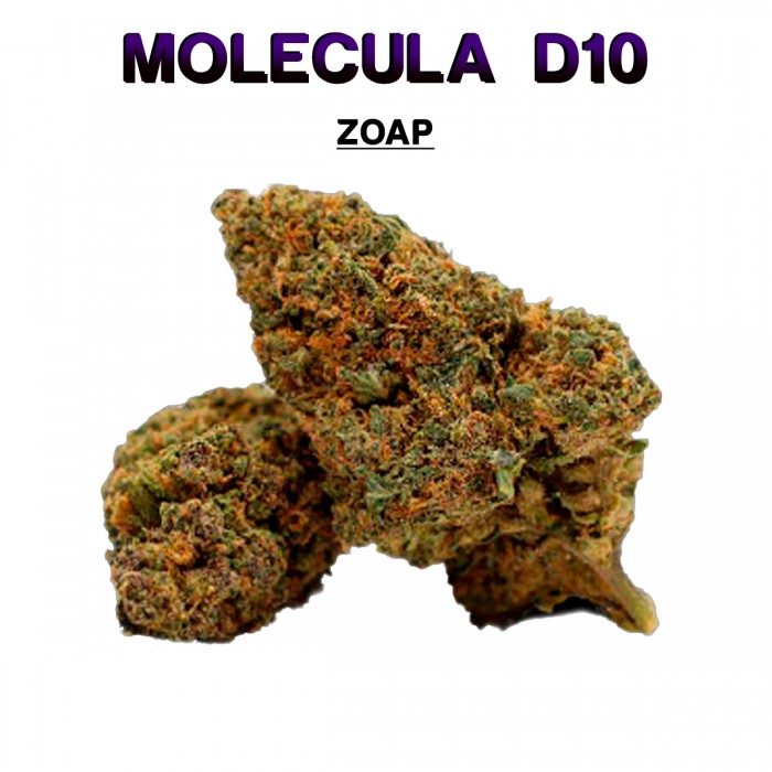 Flores 50% D10 Zoap 5g.