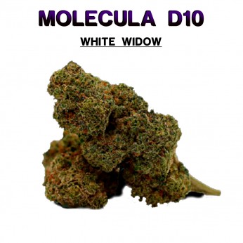 Flores 50% D10 White Widow 5g.