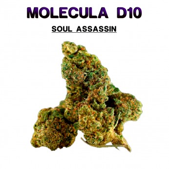 Flores 50% D10 Soul Assassin 5g.