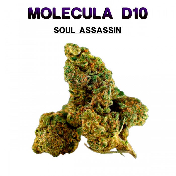 Flores 50% D10 Soul Assassin 5g.