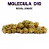 FLORES D10 50% ROYAL DWARF