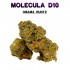 FLORES D10 50% OBAMA RUNTZ