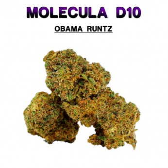 Flores 50% D10 Obama Runtz 5g.