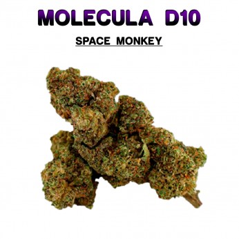 Flores 50% D10 Space Monkey 5g.