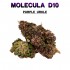 Flores 50% D10 Purple Urkle 5g.