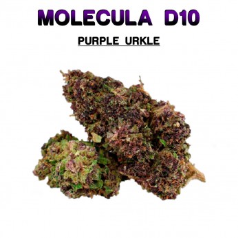 Flores 50% D10 Purple Urkle 5g.