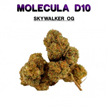 Flores 50% D10 Skywalker OG 5g.