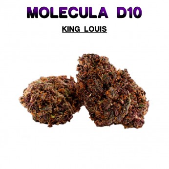 Flores 50% D10 King Louis 5g.