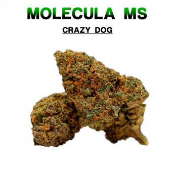 Flores 50% MS Crazy Dog 5g.