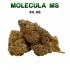 FLORES MS 50% 911 OG