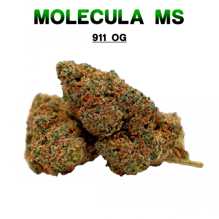 Flores 50% MS 911 OG 5g.