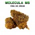 Flores 50% MS Yoda Ice Cream 5g.
