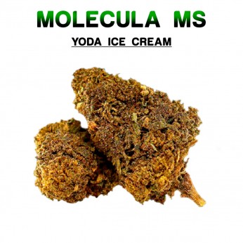 Flores 50% MS Yoda Ice Cream 5g.