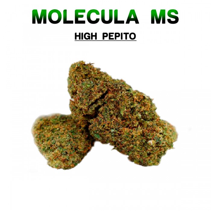 Flores 50% MS High Pepito variedad 2 5g.
