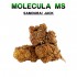 FLORES MS 50% SAMOURAI JACK