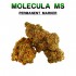 Flores 50% MS Permanent Marker 5g.