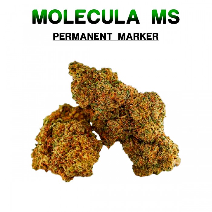 Flores 50% MS Permanent Marker 5g.