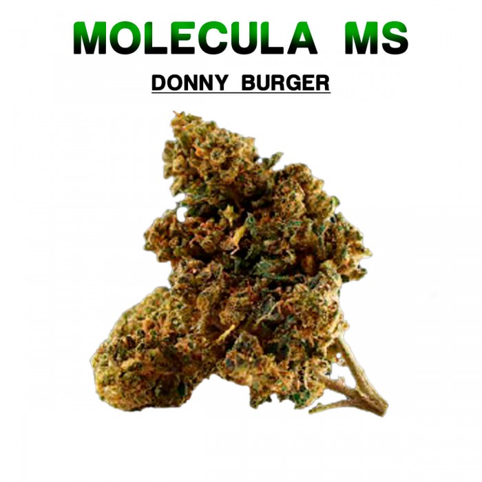 Flores 50% MS Donny Burger 5g.