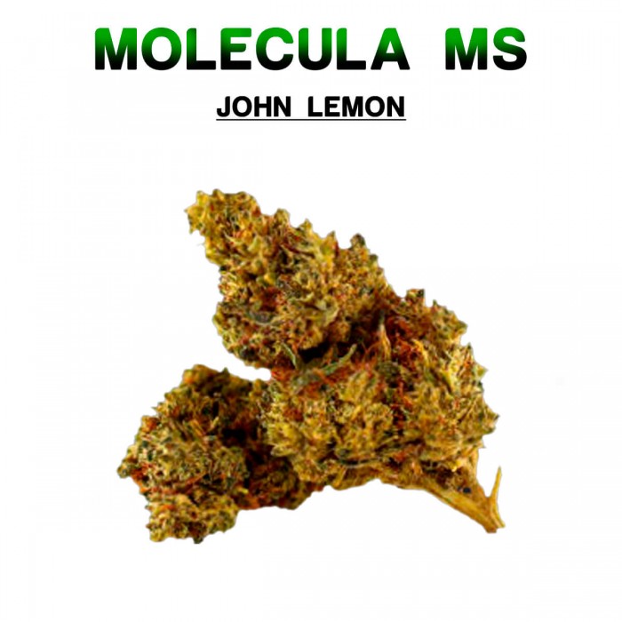 Flores 50% MS John Lemon 5g.