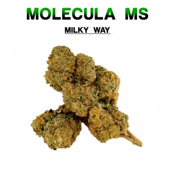 Flores 50% MS Milky Way 5g.