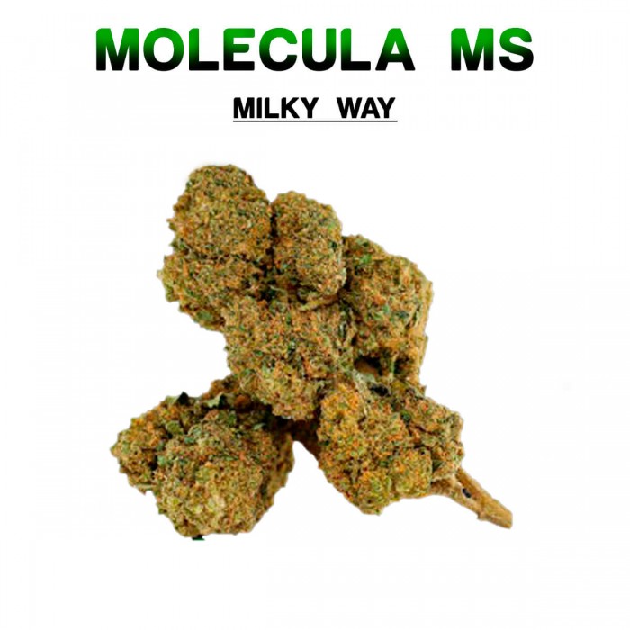Flores 50% MS Milky Way 5g.
