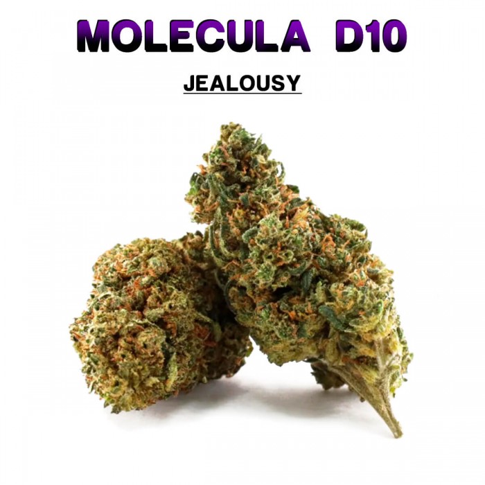 Flores 50% D10 Jealousy 5g.