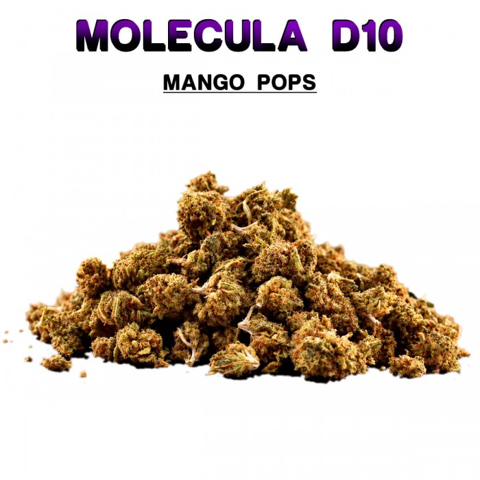 Flores 50% D10 Mango Pops 5g.