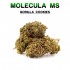 Flores 50% MS Gorilla Cookies variante 5g.