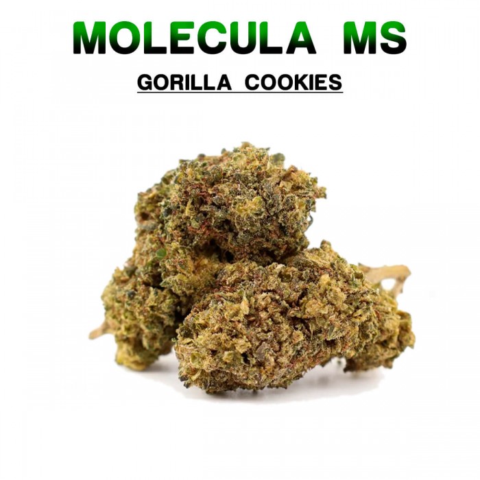 Flores 50% MS Gorilla Cookies variante 5g.