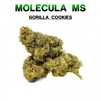 Flores 50% MS Gorilla Cookies 5g.