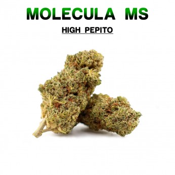 Flores 50% MS High Pepito 5g.