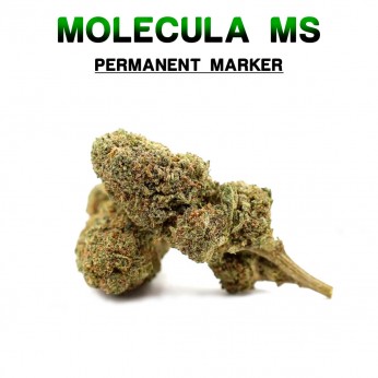 Flores 50% MS Permanent Marker 5g.