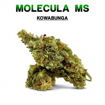 Flores 50% MS Kowabunga 5g.