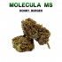 Cogollos 50% MS Donny Burger 5g.