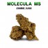 Flores 50% MS Zombie Kush 5g.