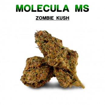 Flores 50% MS Zombie Kush 5g.